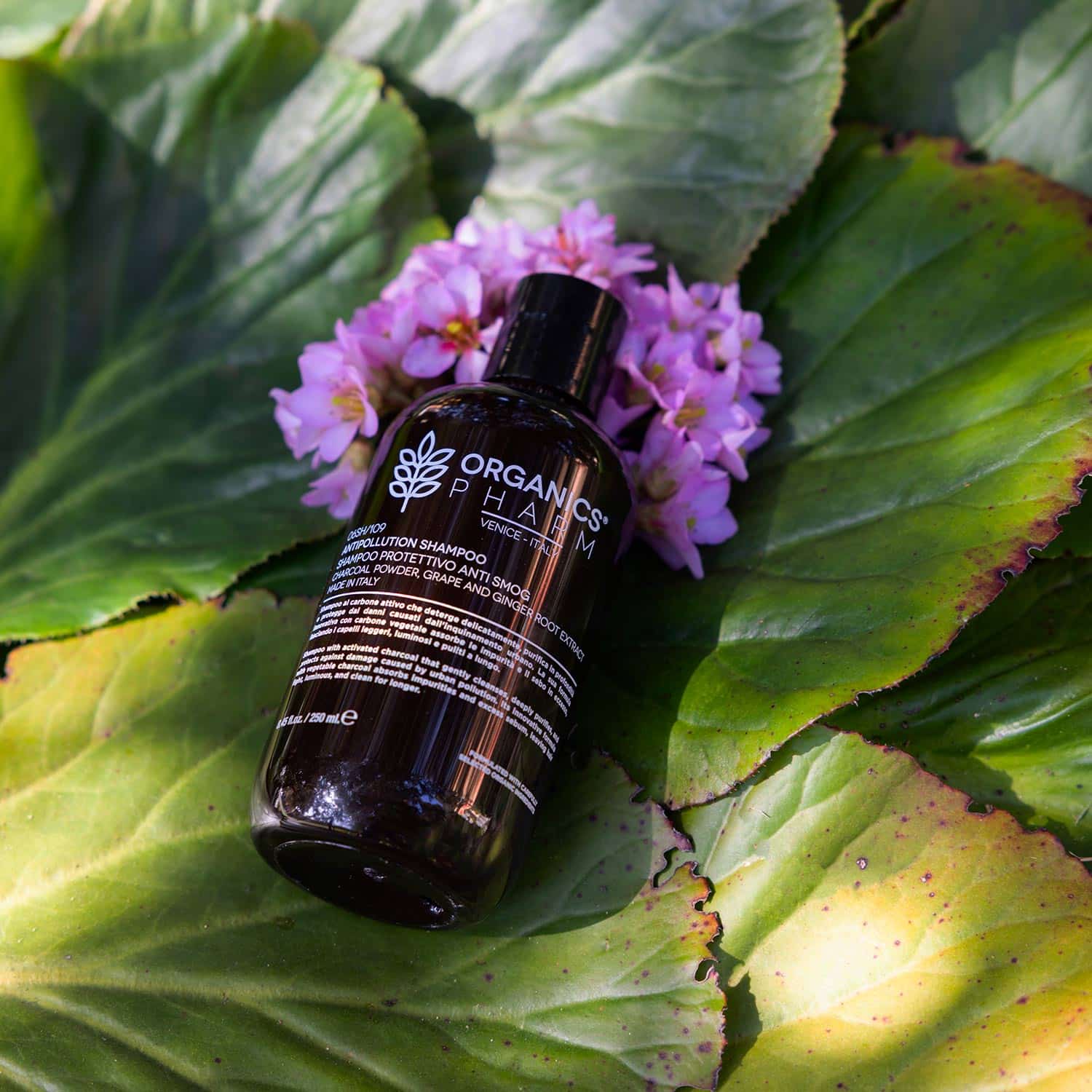 ORGANICS PHARM